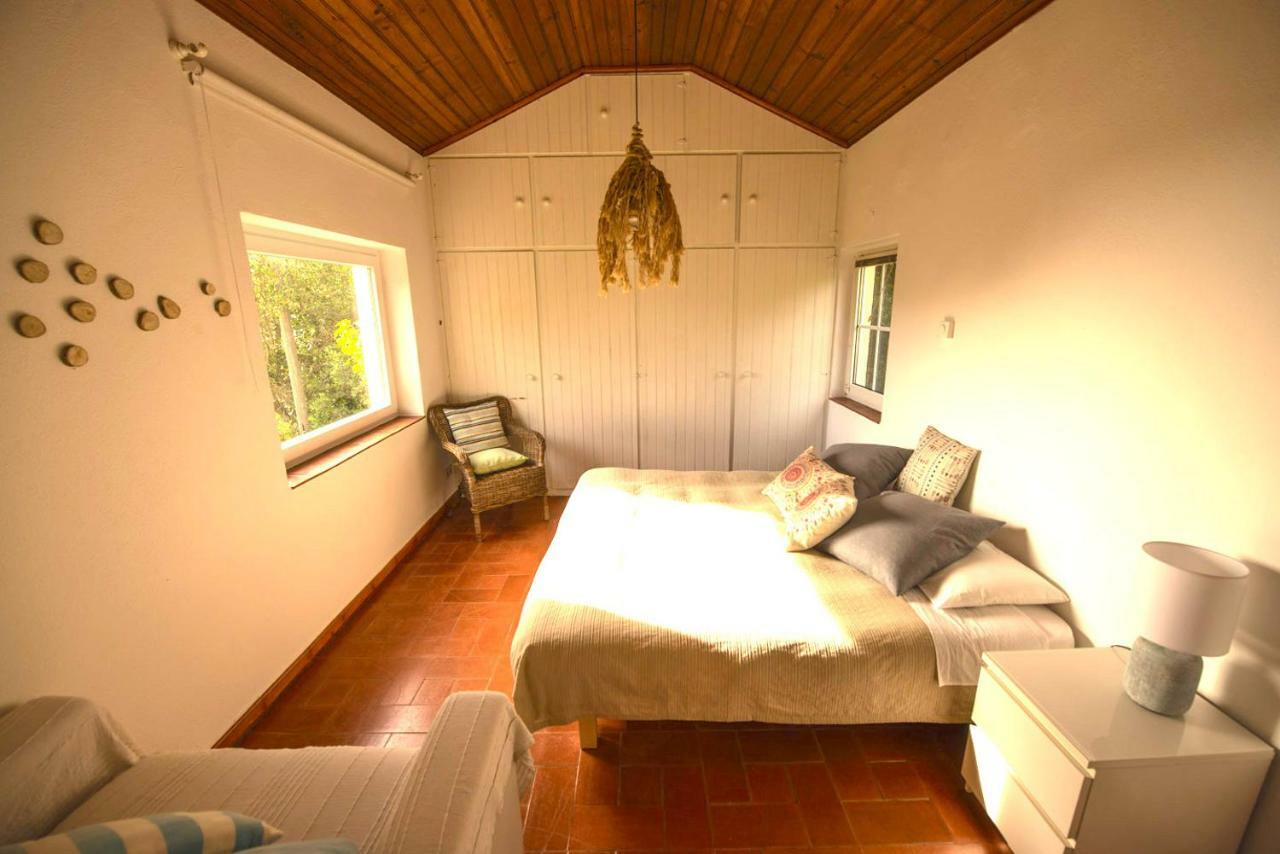 A House In The Woods Villa Sintra Dış mekan fotoğraf